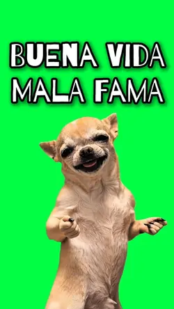 BUENA VIDA MALA FAMA