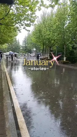 January Stories 