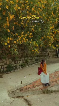 Mẫu HQ 