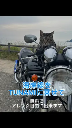 海岸線をTUNAMIに乗せて