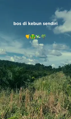bos di kebun sawit