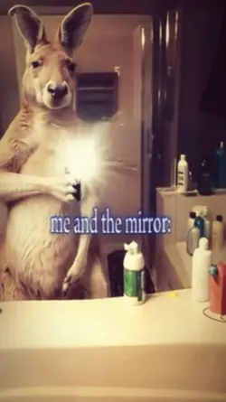 me and the mirror