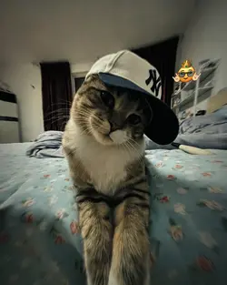 cool Ming Ming 