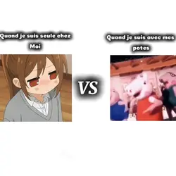 Mon concept 