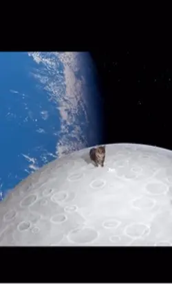 Fly to the moon UIA