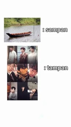 tampan 