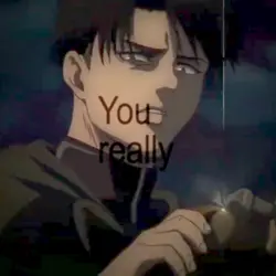 Levi ackerman 