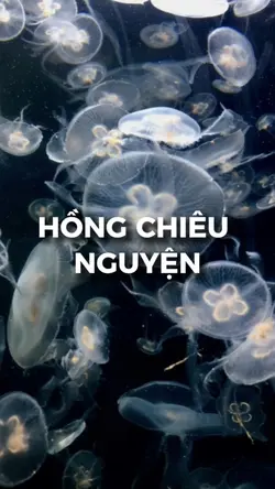 2 ảnh nhẹ nhàng 