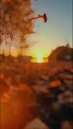 Fading echoes