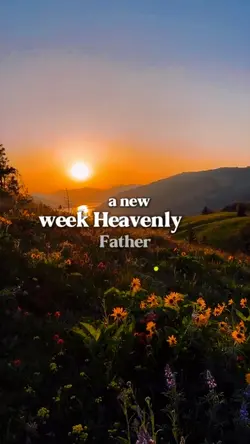 New week