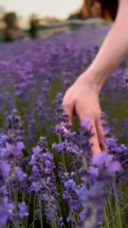 Spring day 