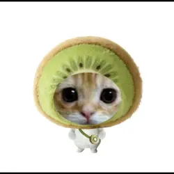 🥝