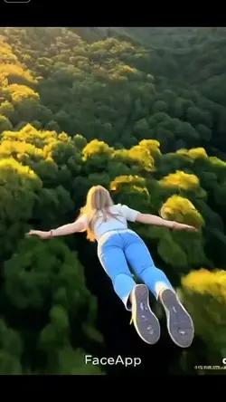 FLY EFFECT FILTER