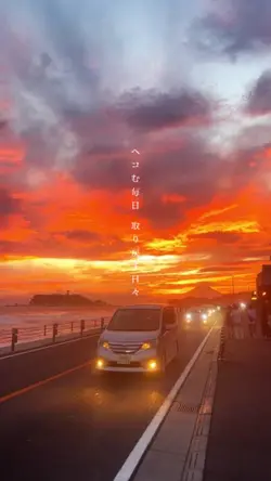 夏休みVlog