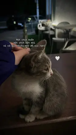 1 ảnh captions 