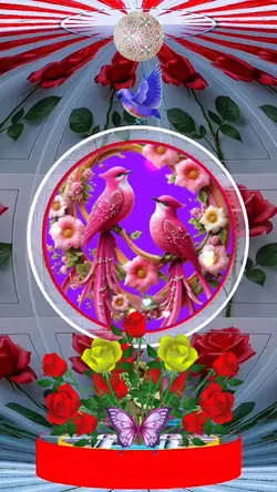 Hiệu ứng đẹp
