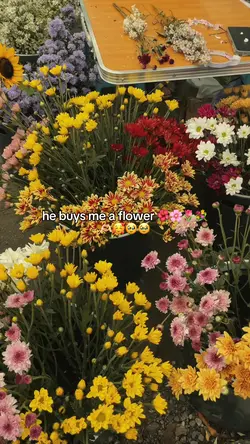 he buys me flowers