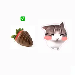 dam dam di di cat