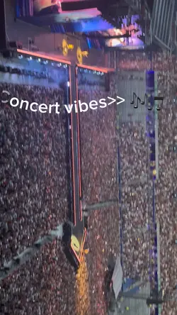 Concert Vibesss