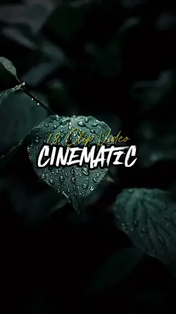 18 Clip Cinematic