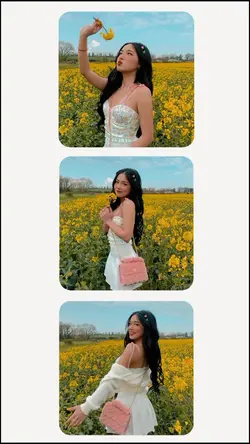 aesthetic frame