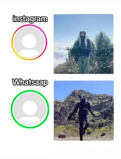 trend ig vs wa