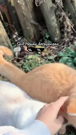 hewan kesayangan 