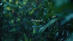 RAINY DAY CINEMATIC