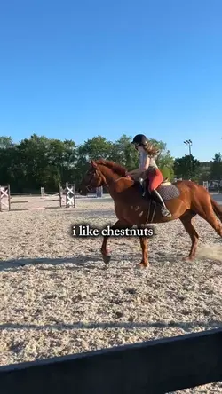 mostly chestnuts