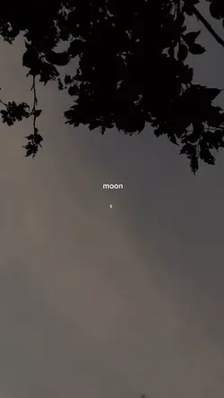 talking to the moon