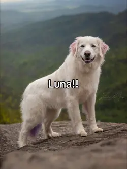 LUNA!! 
