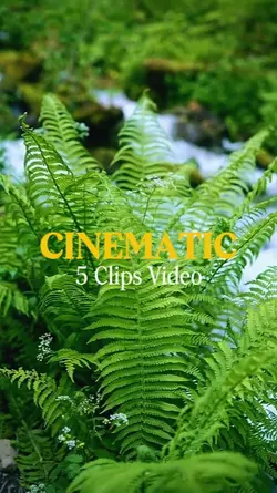 CINEMATIC 5 Video