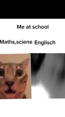 school