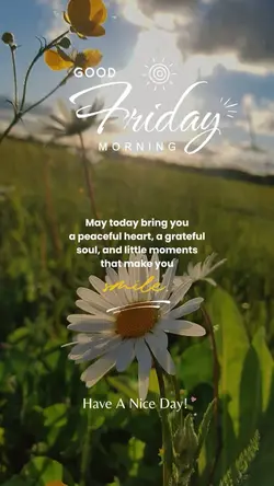 Friday 🌞