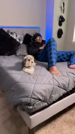 Queen bed