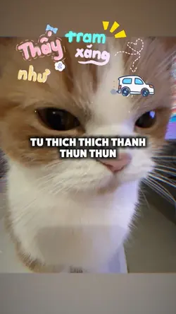 Nên em đành viết~~