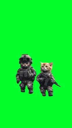 Cat in Army