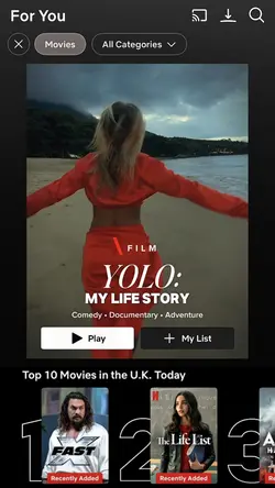 Netflix Poster🍿