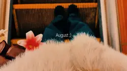 August vibes