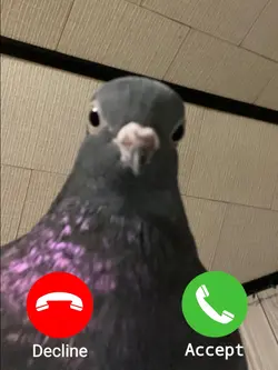 Calling meme