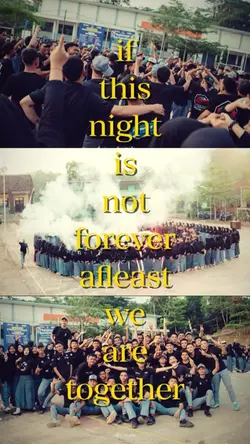 if
this
night
is
not