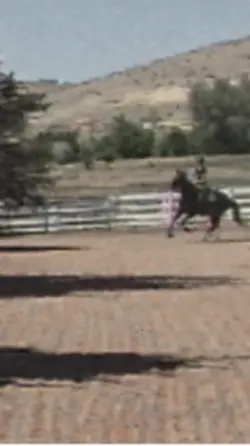 Not my horse