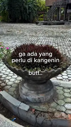 trend butt