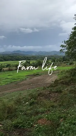 Farm life