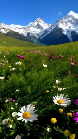 Hello Spring