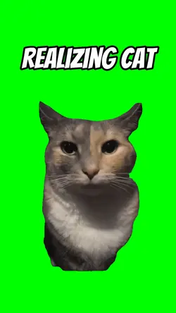 Realizing cat 