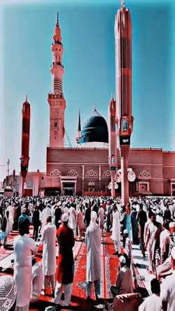 new Temple it 