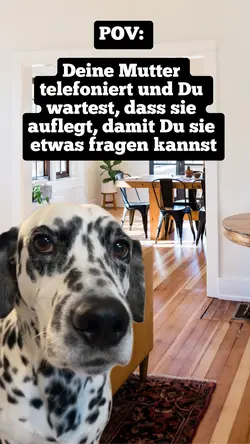 Wartender Hund Meme