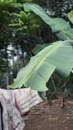 SLOWMO KECE