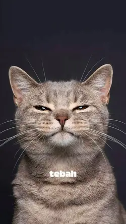 lagu Mbah dukun
